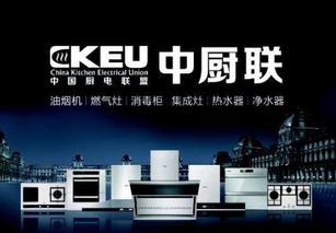 ckeu中厨联专业提供没有品牌的厨房电器