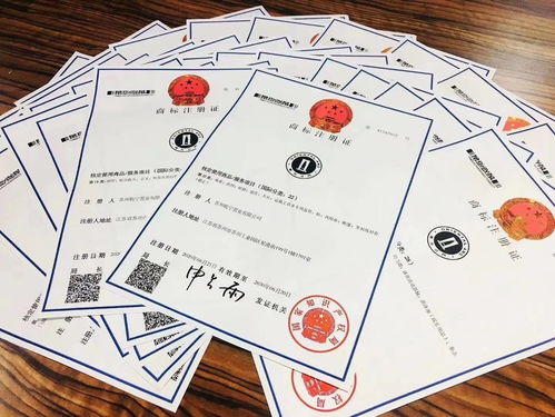 商标注册 商标设计 商标咨询 全国一条龙代办