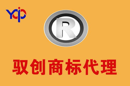 新河县商标注册代理