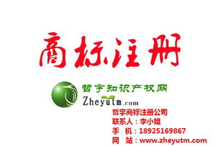 哲宇知识产权代理 图 广东国际商标公司 国际商标高清图片 高清大图