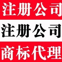 湖南维智商标代理(知识产权顾问部)