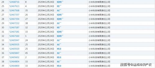 雷军准备入局食品行业 新增上百件 粗粮 粮厂 商标,咋回事