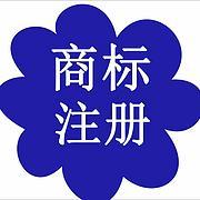 专利各种加急以及疑难诉讼处理