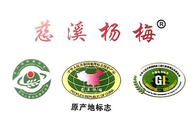 优秀!这32家单位取得“慈溪杨梅”地理标志证明商标授权使用资格!