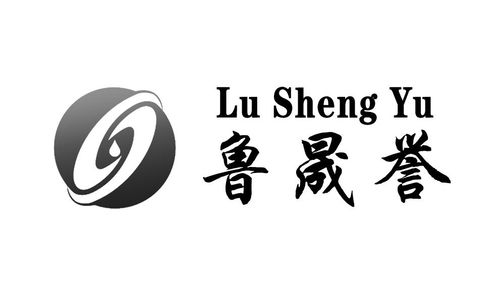 鲁晟誉商标注册第17类 橡胶制品类商标信息查询,商标状态查询 路标网