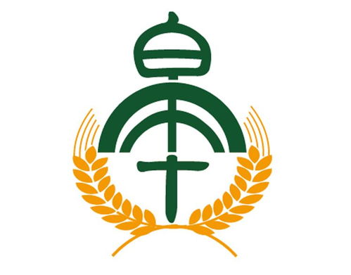 商标注册全攻略 南皋查询、进度跟踪与成功率评估